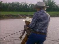 Dallas (1978)